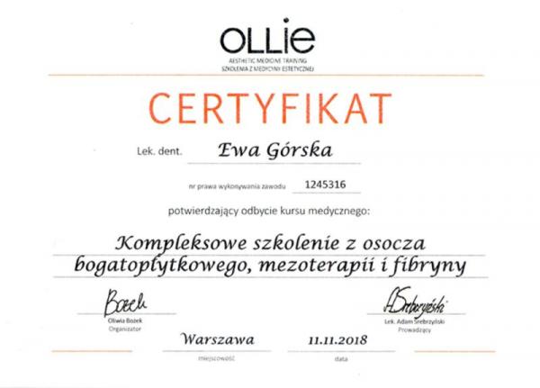 certyfikaty-eg-02